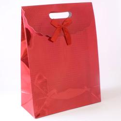 Large Red Checkered Holographic Gift Bag