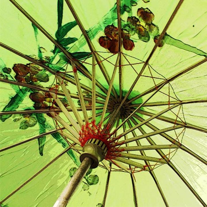 Hand Painted Oriental Parasol