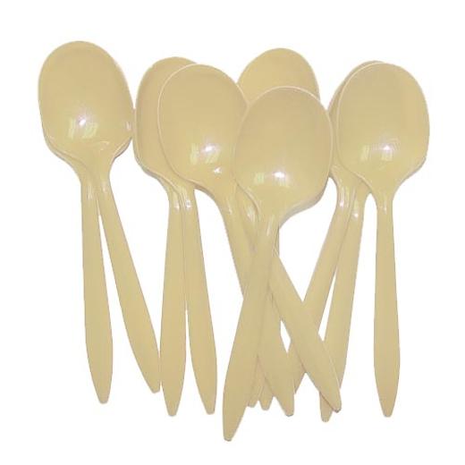Main image of Ivory Plastic Spoons (48)