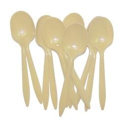Ivory Plastic Spoons (48)