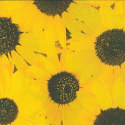 Sunflower Printed Paper Napkins - 20 Ct.
