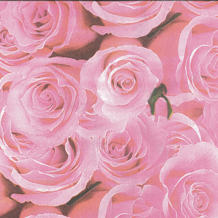 Roses Printed Paper Napkins - 20 Ct.