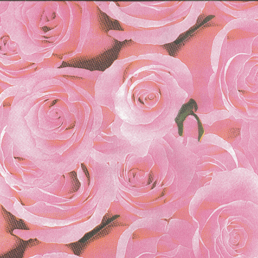 Main image of Roses Printed Paper Napkins - 20 Ct.