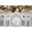Disposable Clear and Black Rimmed Dinnerware Set