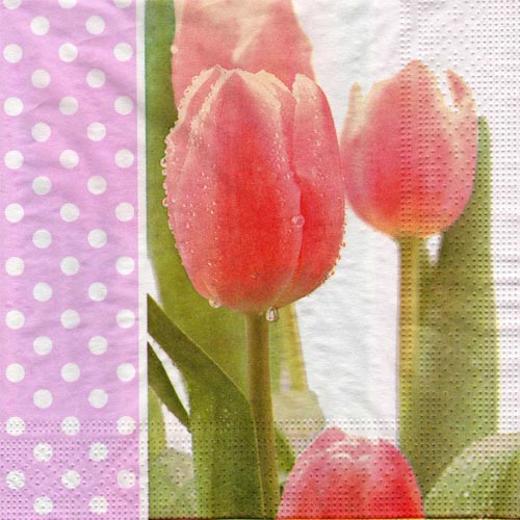 Main image of Morning Dew Tulips Designer Napkins - 16 Ct.