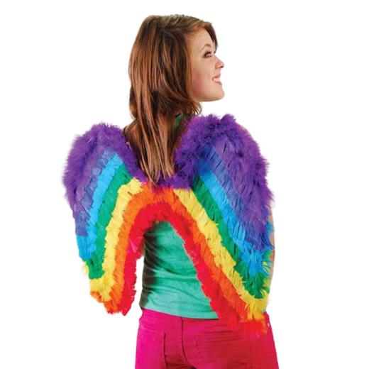 Main image of Rainbow Wings