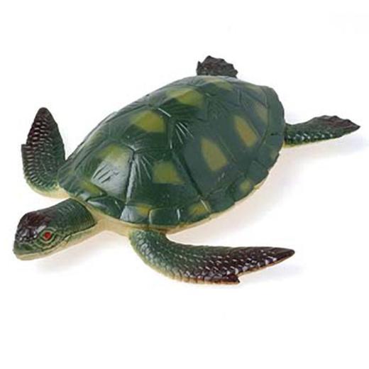 Main image of Large Turtle