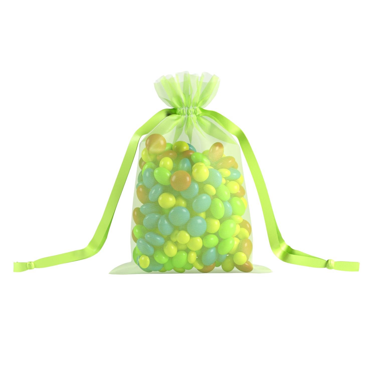 Lime Green Large Organza Pouch (6)