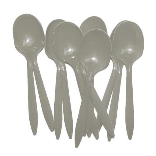 Alternate image of Silver Plastic Spoons (48)