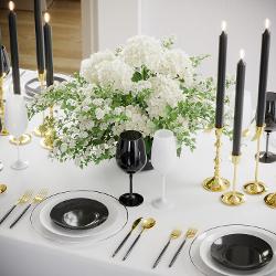 Disposable Clear, Black and White Dinnerware Set