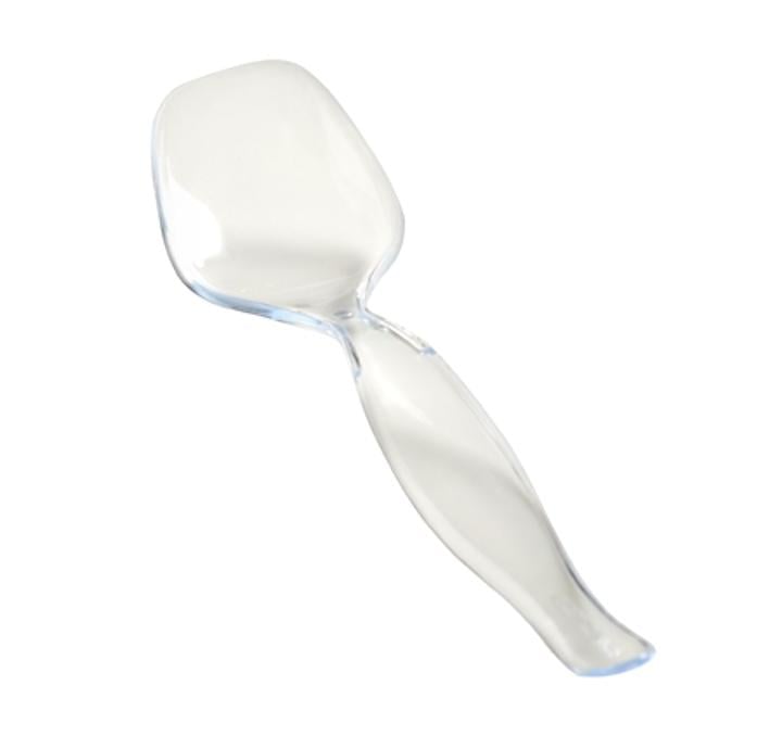 Clear Plastic Serving Spoon