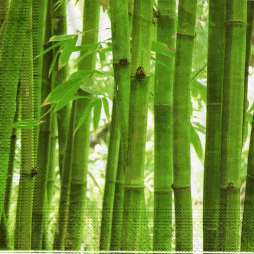 Main image of Bamboo Forest Designer Napkins - 16 Ct.