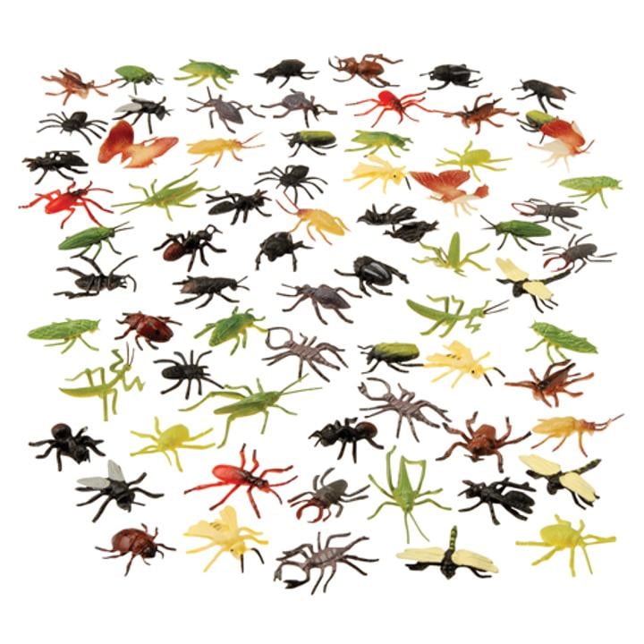 Assorted Insects - 72 Ct.