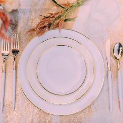 Disposable White and Ivory Dinnerware Set
