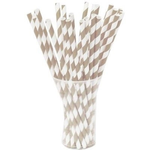 Silver Striped Paper Straws | 25 Count
