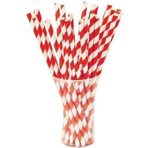 Red Striped Paper Straws | 25 Count